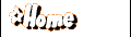Back to the main page